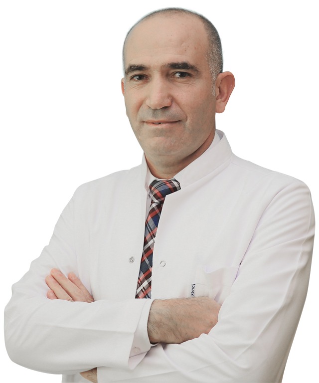 Prof. Dr. Abdulah Böyük 